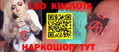 сатива Краснокаменск