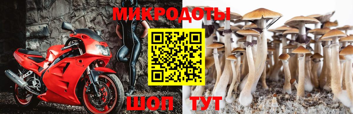 Псилоцибиновые грибы Magic Shrooms  Галлюциногенные грибы ЛСД  Вход с VPN  купить наркотик  Каспийск 