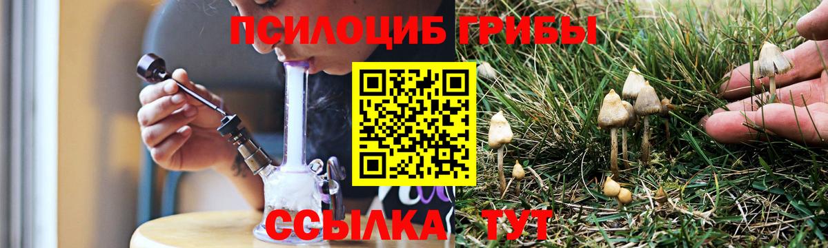 Галлюциногенные грибы Psilocybine cubensis Каспийск